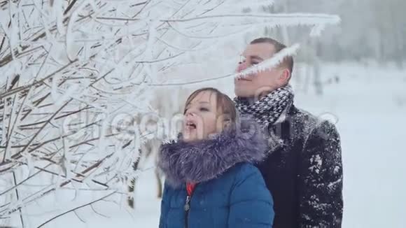 男孩和女孩在树上吃雪品尝雪视频的预览图