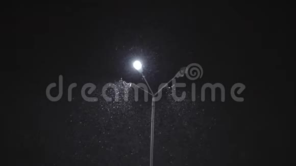 夜幕降临在路灯旁视频的预览图