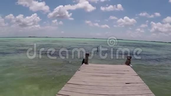 西安卡安湖和生物圈保护区旅游MuyilTulum墨西哥视频高清视频的预览图