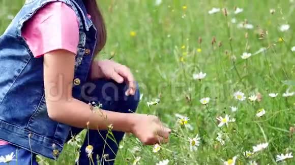 在一片洋甘菊的草坪上一个戴着洋甘菊花圈的甜美女孩看着雏菊剪掉花瓣嗅着花瓣然后视频的预览图