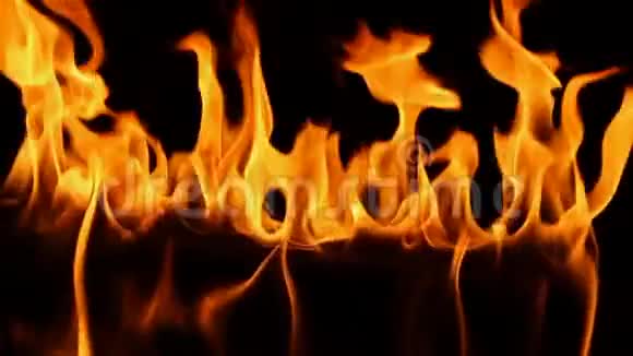 绿色的火木橙色的火焰在缓慢的运动中燃烧特写镜头可爱的舒适的原木在莫斯佩瑟的壁炉视频的预览图