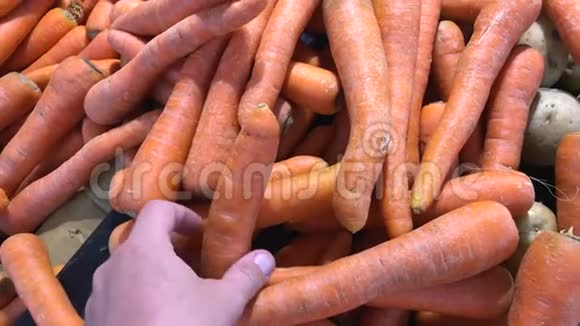 亚洲农贸市场新鲜有机胡萝卜蔬菜男人手选择健康的胡萝卜视频的预览图