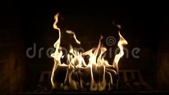 令人惊喜的近距离慢镜头火焰燃烧在可爱舒适的原木气氛壁炉视频的预览图
