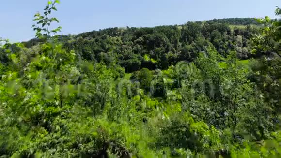 空中无人驾驶飞机飞过东欧山区森林夏天绿树成荫蓝天成荫视频的预览图