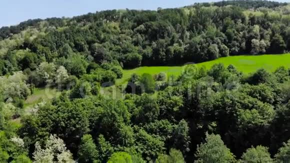 空中无人驾驶飞机飞过东欧山区森林夏天绿树成荫蓝天成荫视频的预览图