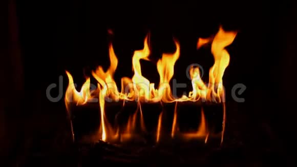 美丽的橙色五颜六色的火木火焰在可爱的舒适的原木上燃烧在神秘的壁炉上燃烧视频的预览图