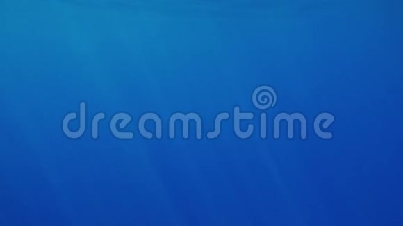 深蓝的海水和阳光透过水面照出美丽的水下影像视频的预览图