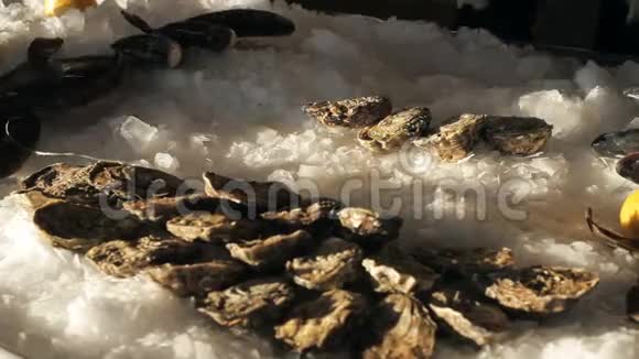 厨师把很多大牡蛎和新鲜鱼放在冰上视频的预览图
