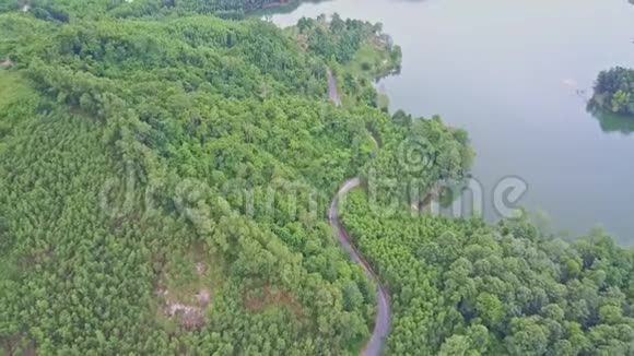 热带森林和湖边公路上空的蛙泳视频的预览图