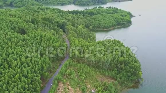 沿湖林种之间的道路移动视频的预览图