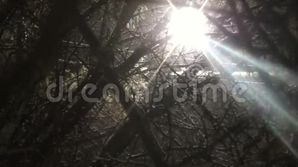 在大雪纷飞的夜晚一盏明亮的灯笼闪闪发光视频的预览图