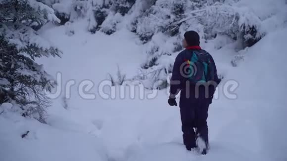 一个年轻人独自走过一片雪林年轻漂亮的游客偷偷地溜过雪地他环顾四周视频的预览图