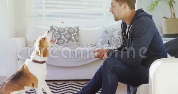 微笑的年轻人坐在沙发上抚摸他的宠物狗4K4K视频的预览图