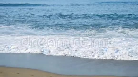 蓝色的热带海洋有黄色的沙滩库存沙滩上的狗阳光明媚的一天沙滩上有海浪夏季视频的预览图