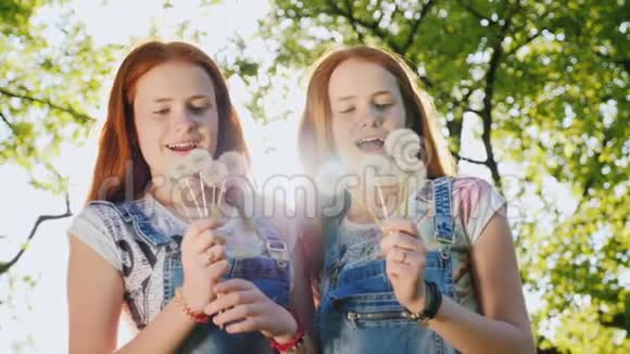 两个双胞胎姐妹玩蒲公英花吹掉种子慢速视频视频的预览图