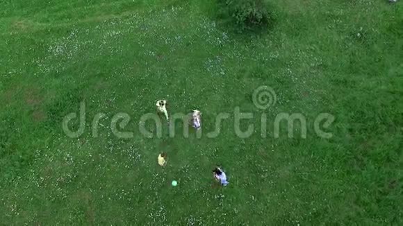 航空从上面拍摄视频孩子们和妈妈一起在洋甘菊草地上玩球视频的预览图