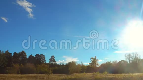 美丽的阳光在蓝天的森林和草地上视频的预览图