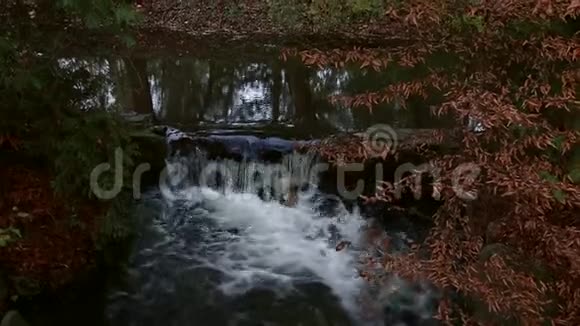 秋天十月公园里的小瀑布视频的预览图