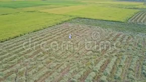 显示种植植物线和工作农民视频的预览图