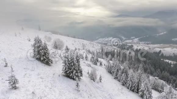 绕着一棵冻得很漂亮的树飞行冬天的故事景观视频的预览图