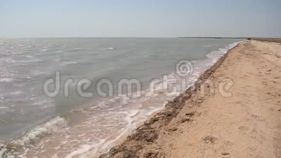 阳光明媚海浪涌动的沙滩海岸视频的预览图