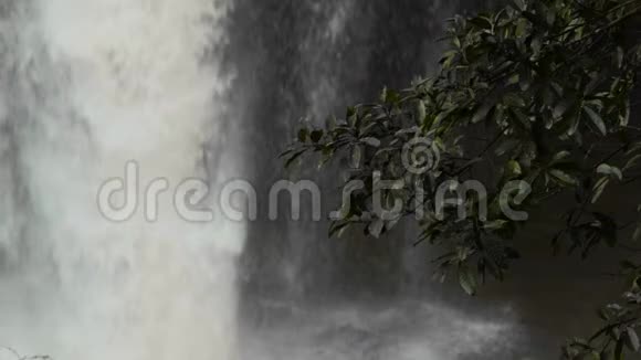 泰国高叶公园与海秀瀑布的近缘叶慢动视频的预览图