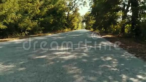 一辆车在一条长满树木的乡村道路上行驶视频的预览图