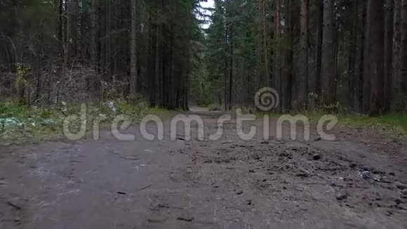在森林中拍摄泥泞的道路视频的预览图