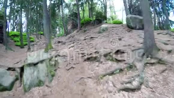 在岩石之间的森林轨道上行走视频的预览图