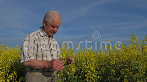 老农在田间检查农作物的品质和熟化情况视频的预览图