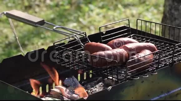 烧烤肉未开封夏天在乡下野餐视频的预览图
