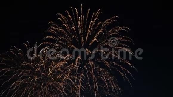 烟花照亮了天空新年庆祝活动视频的预览图