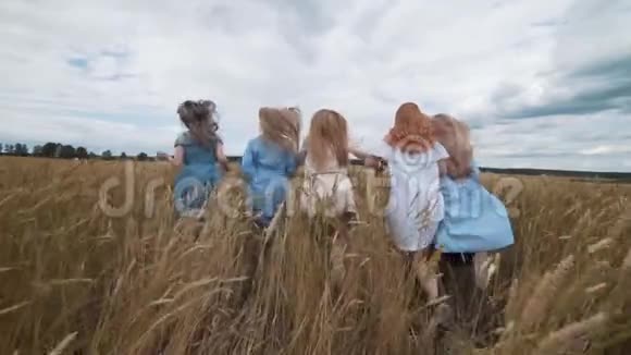 五个金发的女孩跑过麦田美丽健康的头发视频的预览图