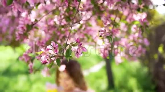 一位带着花束的年轻英俊女子走在开花的树间视频的预览图
