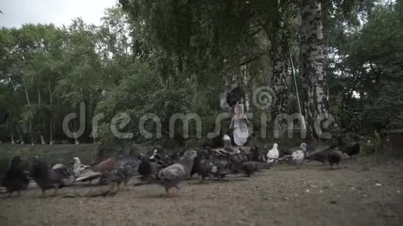 一个快乐的女孩在公园里追逐鸽子视频的预览图