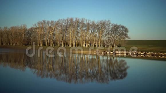 羊群沿着美丽的湖走视频的预览图