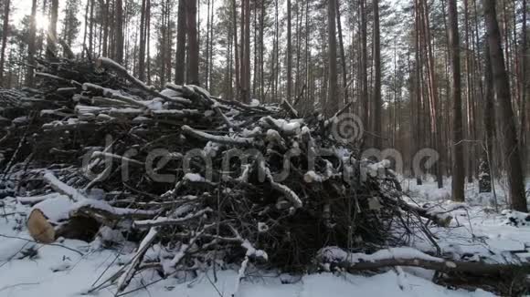 从一棵树干上剪下部分被雪覆盖的木头和树枝视频的预览图