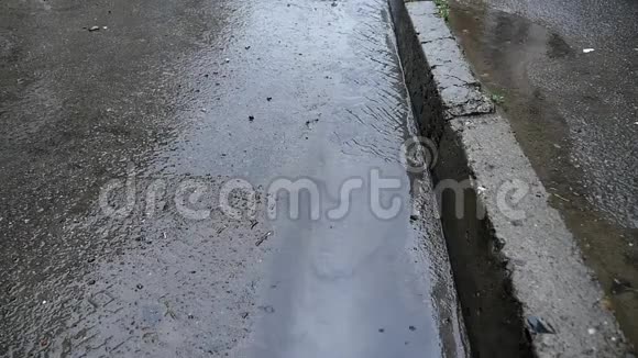 路边的一股雨水视频的预览图