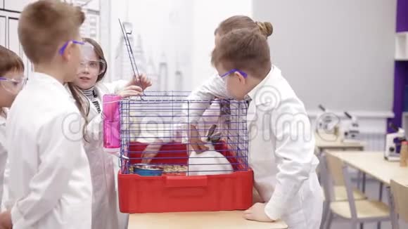 学校的孩子们抱着一只兔子现代教育主题视频的预览图