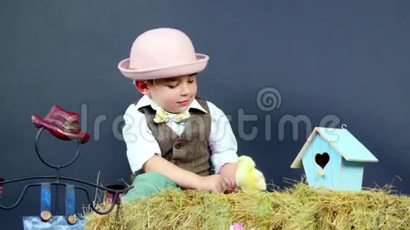 乡村穿着时尚可爱的小男孩玩小鸡工作室视频主题装饰视频的预览图