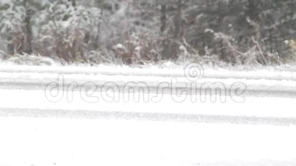 暴风雪期间的道路视频的预览图