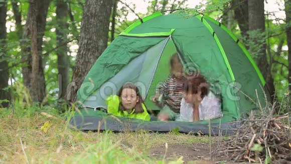 孩子们在绿色的帐篷里玩耍在森林的空地上玩耍关上帐篷里的格子视频的预览图