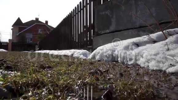 在沼泽中飘雪的边缘山上的野草在雪中逼近录像视频的预览图