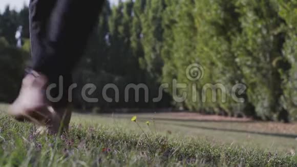 在草地上赤脚跳舞视频的预览图