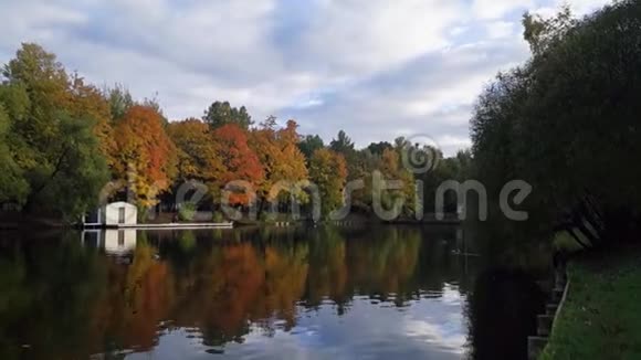 清早的秋日公园里的宁静湖视频的预览图