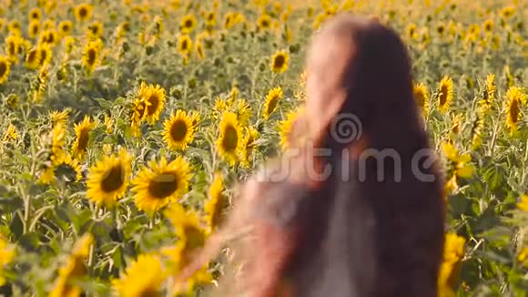 一片黄色的向日葵风姑娘挥动着她的头发孩子在夏天看向日葵视频的预览图