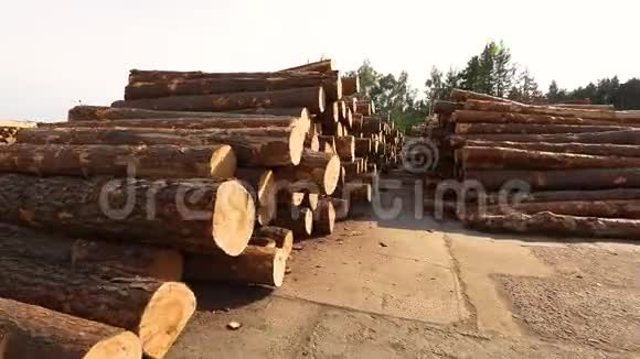 成排的树干锯木厂的木材仓库木工工厂的木材仓库视频的预览图