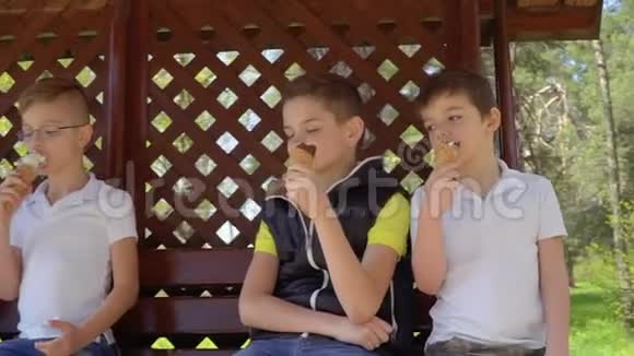 孩子们坐在公园的长椅上吃冰淇淋视频的预览图