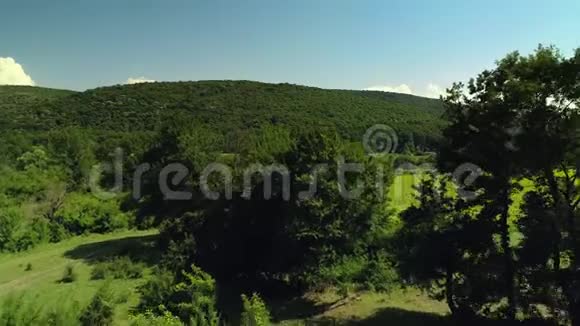 有葡萄园和美丽的山谷的田野空中无人机视野视频的预览图