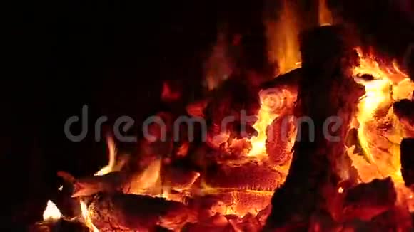 木头火的火焰视频的预览图